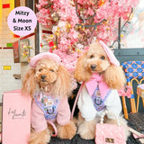 PUPARAZZI NO PULL HARNESS