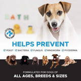 PET HONESTY-CHLORHEXIDINE SHAMPOO