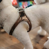 COPPER SNAKE Leather Harness