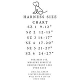 Neon Orange Leather Harness