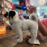 Neon Orange Leather Harness