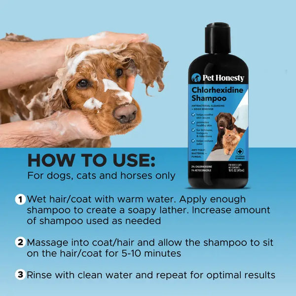 PET HONESTY-CHLORHEXIDINE SHAMPOO