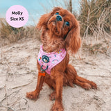 PINK PAW-ER NO PULL HARNESS