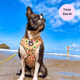 CLUB PUPICANA NO PULL HARNESS