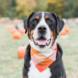 PUMPKIN SPICE BANDANA