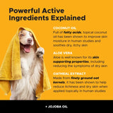 PET HONESTY-ALLERGY ANTI ITCH SHAMPOO