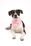 SNOWBALL PINK BANDANA