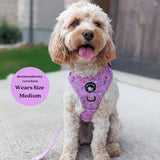 PINK PAW-ER NO PULL HARNESS