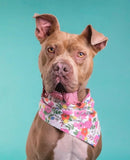 BLOSSOM BANDANA