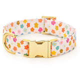 RAINBOW FLOWER COLLAR