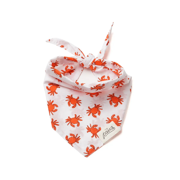 SHORE SAILING BANDANA
