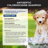 PET HONESTY-CHLORHEXIDINE SHAMPOO