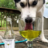 Chardognay Fish Oil + Bone Health Dog Wine