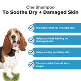 PET HONESTY-CHLORHEXIDINE SHAMPOO