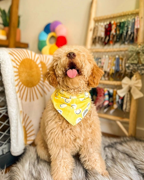 FRIENDS BANDANA