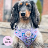 PUPARAZZI NO PULL HARNESS