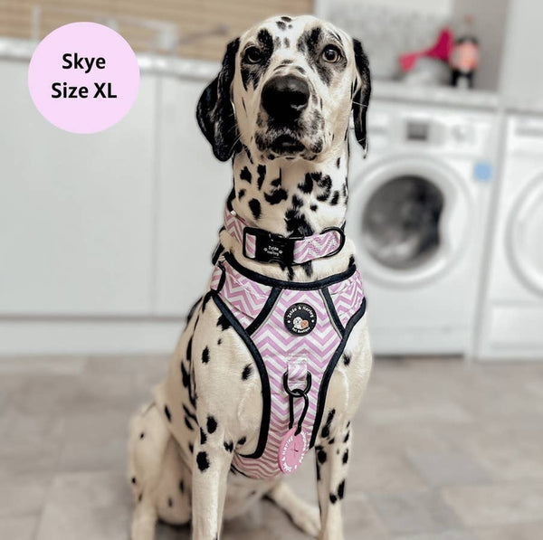 PINK CHEVRON NO PULL HARNESS