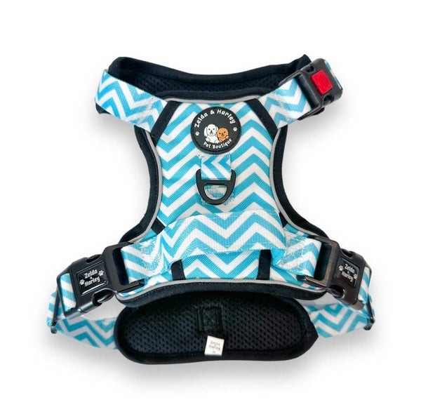 BLUE CHEVRON NO PULL HARNESS
