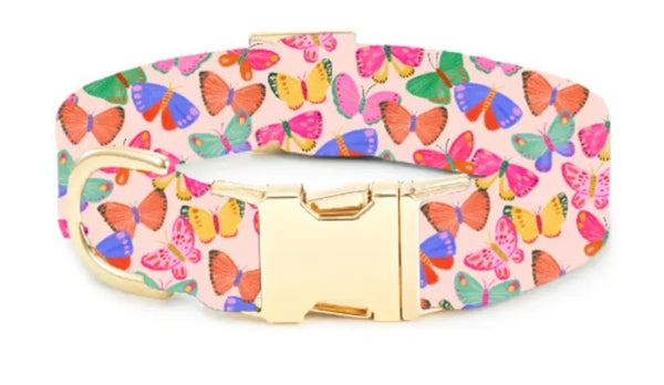 BRIGHT BUTTERFLIES COLLAR