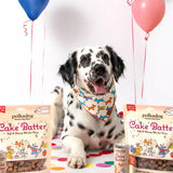 CAKE BATTER TREATS