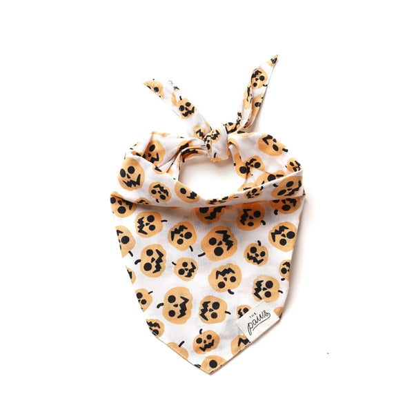 PUMPKIN BANDANA