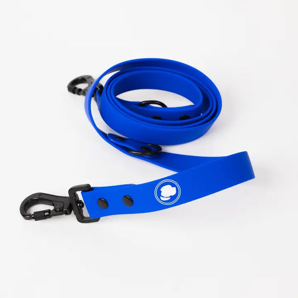 ROYAL BLUE Waterproof Leash