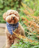CLASSIC NAVY CHECK BANDANA