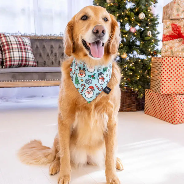 CHRISTMAS FAVORITES BANDANA