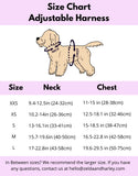 PUPARAZZI NO PULL HARNESS