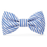 BLUE WAVE BOW TIE