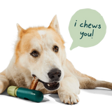 PURE COLLAGEN CHEWS