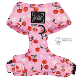 CHERRY HARNESS