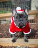 SANTA OUTFIT