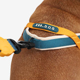 SofterWalk No Pull Harness/Voyage