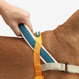 SofterWalk No Pull Harness/Voyage