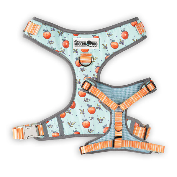 Feeling Peachy Harness