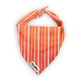 Feeling Peachy Bandana