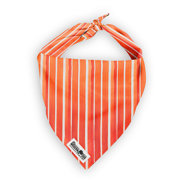 Feeling Peachy Bandana