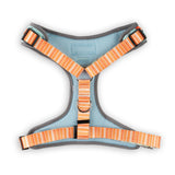 Feeling Peachy Harness