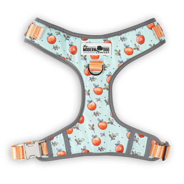 Feeling Peachy Harness