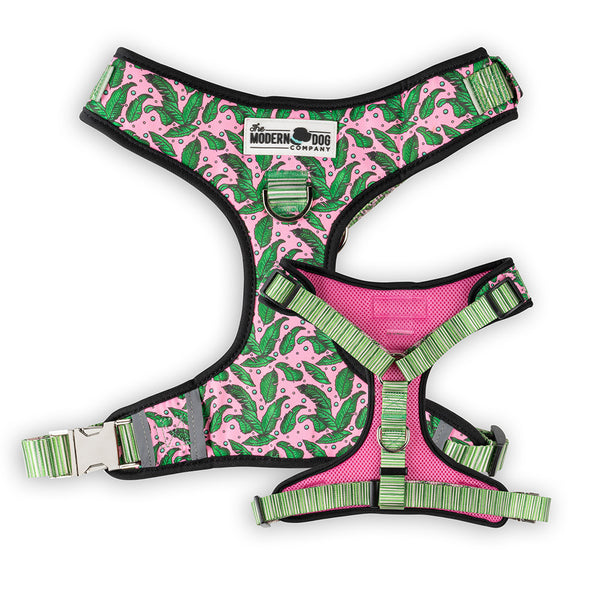 Pink Tropics Harness
