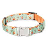 Feeling Peachy Dog Collar