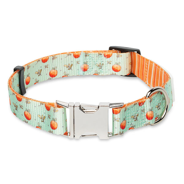 Feeling Peachy Dog Collar