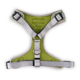Walk On The Wild Side Harness