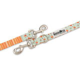 Feeling Peachy Leash