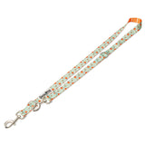 Feeling Peachy Leash