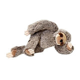 Tico Sloth