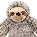 Tico Sloth
