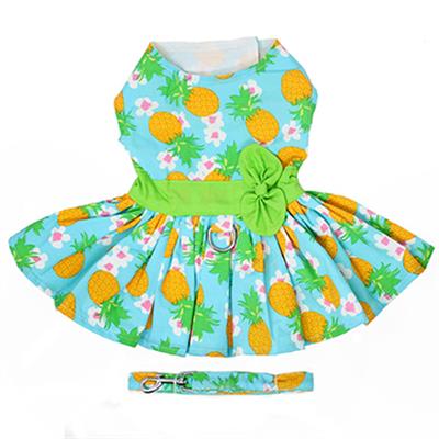 Pineapple Luau Dress with Leash