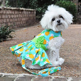 Pineapple Luau Dress with Leash